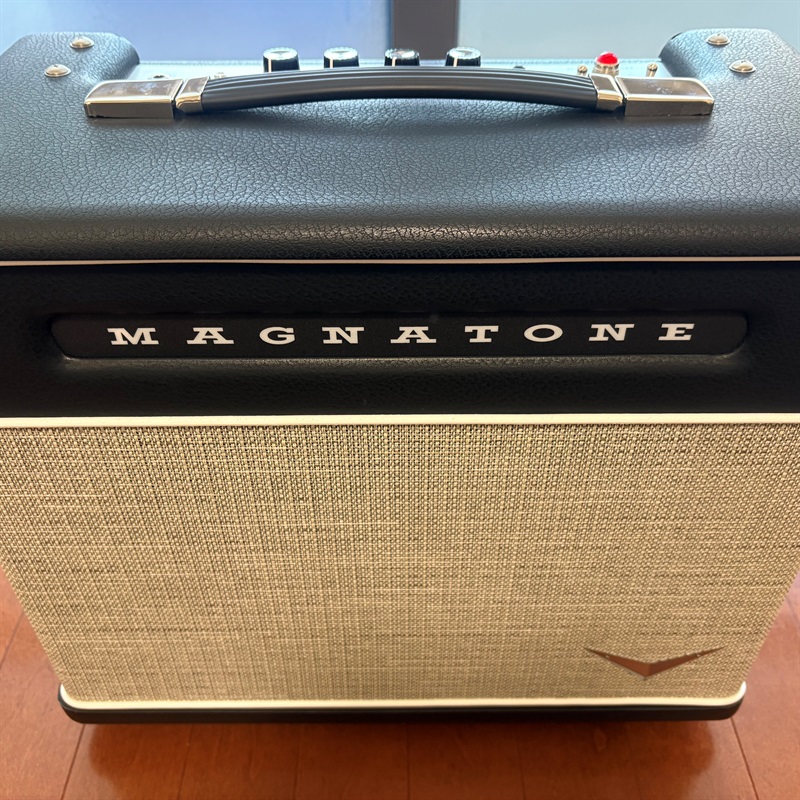 Magnatone Baby M-80 Comboの画像